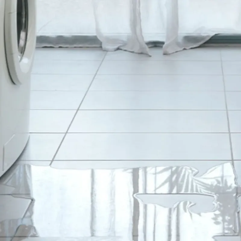 Appliance Leak Cleanup in Rusk County, WI