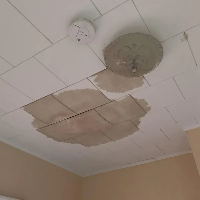 Ceiling Water Damage Repair in Rusk County, WI
