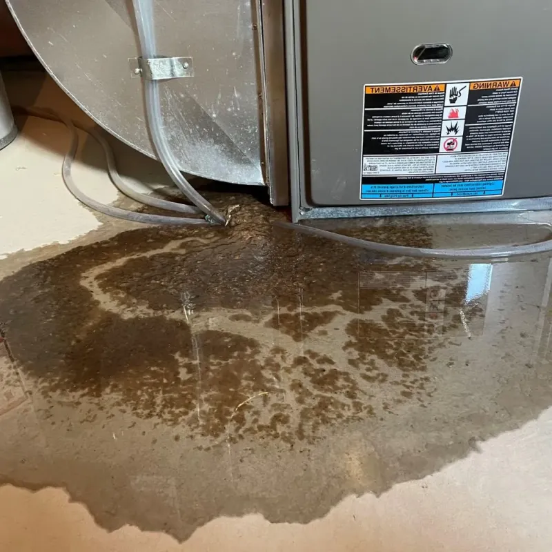 Pipe Burst and Leak Restoration in Rusk County, WI
